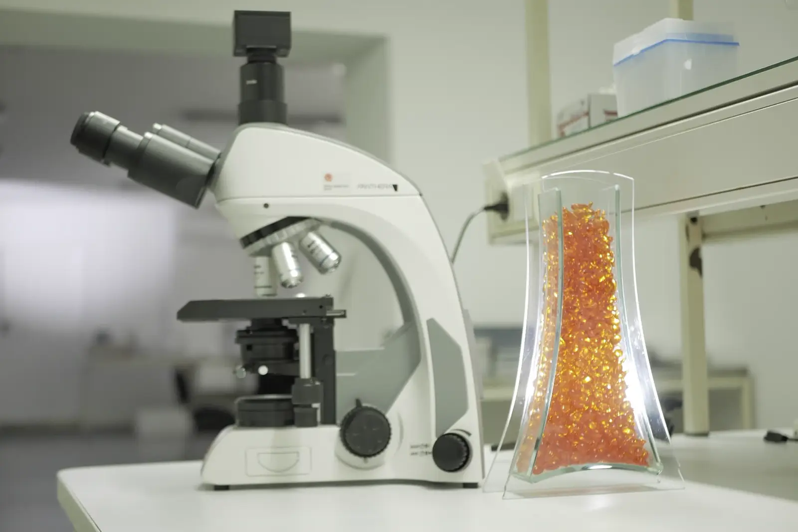Mikroskop laboratoryjny obok szklanego naczynia z kapsułkami